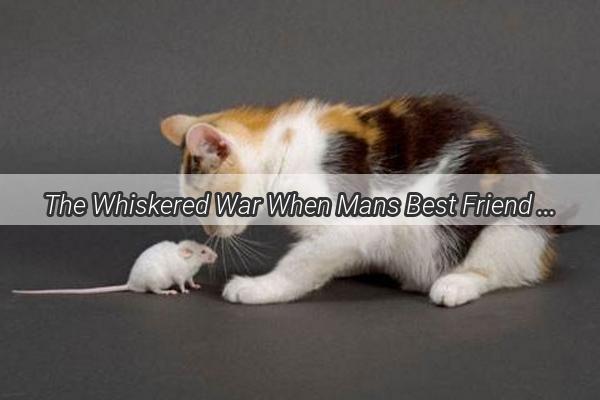 The Whiskered War When Mans Best Friend Turns into a Pillow Pirate